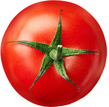 tomato1